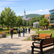 Wide view of a sunny school campus with tree-lined walkway, benches, and students walking away in the distance